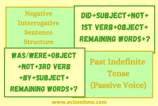 Negative Interrogative Sentence Structure of Past Indefinite Tense(Passive Voice)