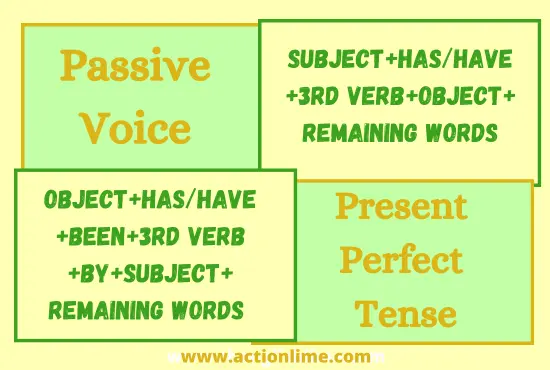 Present Perfect Tense(Passive Voice)