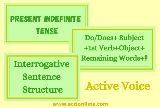 Interrogative Sentence Structure of Present Indefinite Tense(Active Voice)