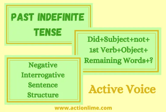 Negative Interrogative Sentence Structure of Past Indefinite Tense(Active Voice)